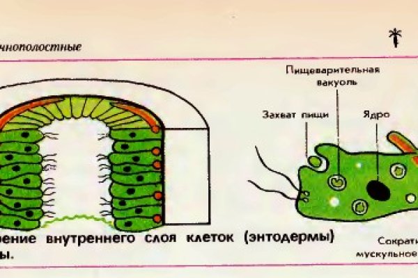 Kraken официальное зеркало kraken dark link