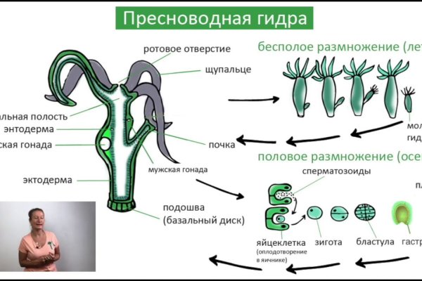 Полезные сайты тор