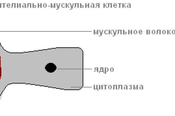 Вход кракен код