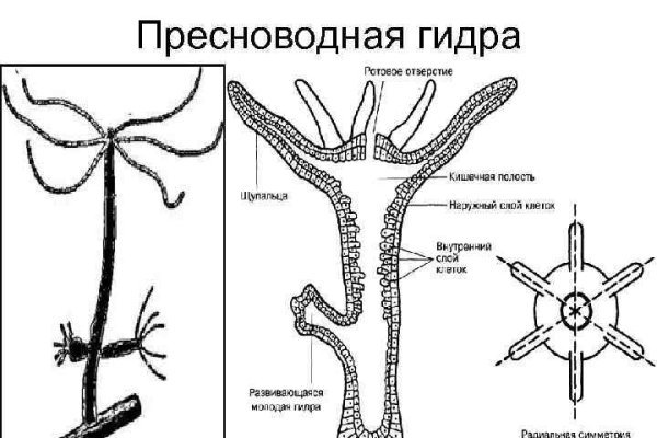 Кракен современный даркнет