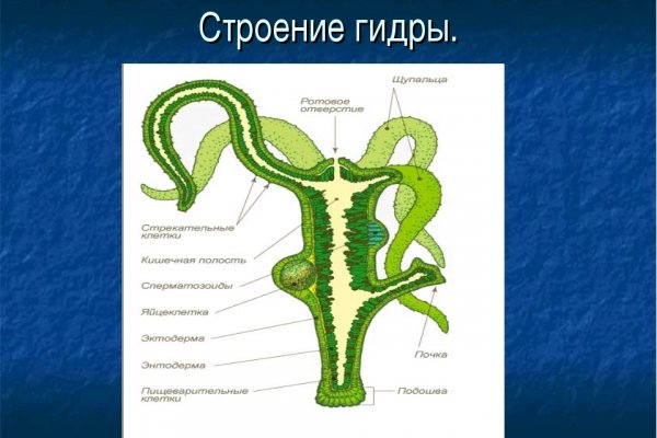 Кракен ссылка германия