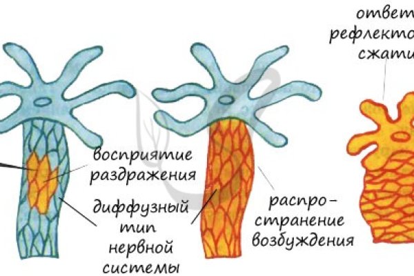 Кракен зарегистрироваться