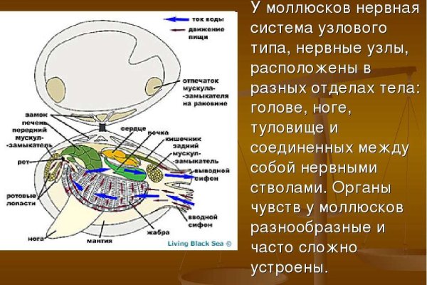 Kra19gl