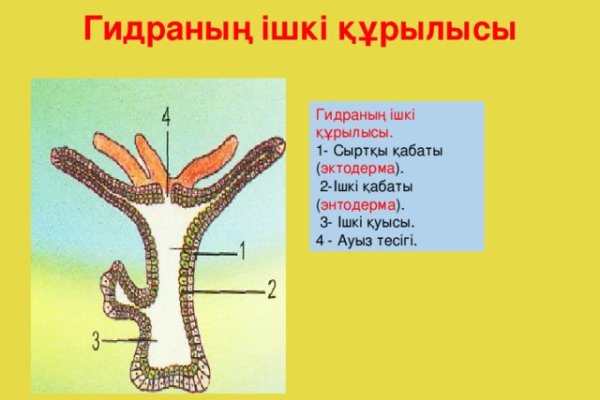 Кракен зеркало onion