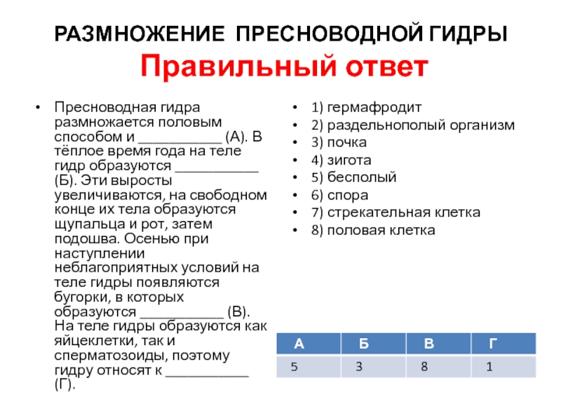 Kra35at